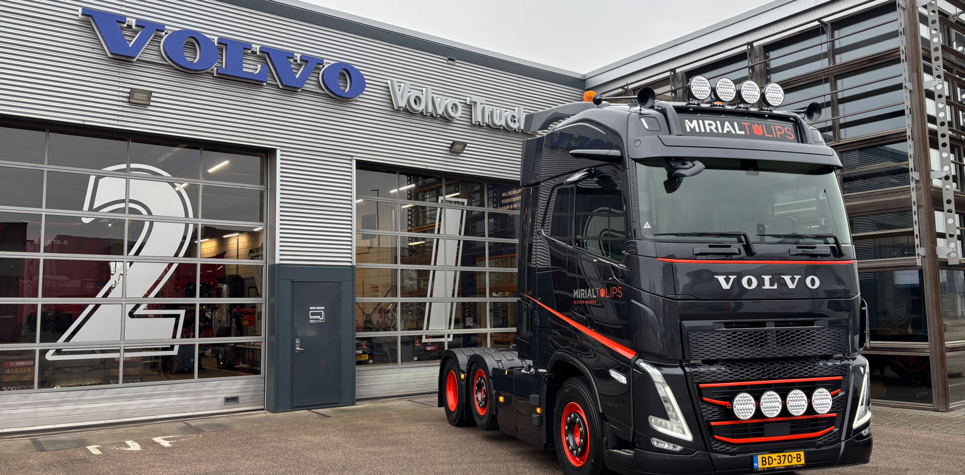 tempjuNSjy Aflevering Mirial Tulips