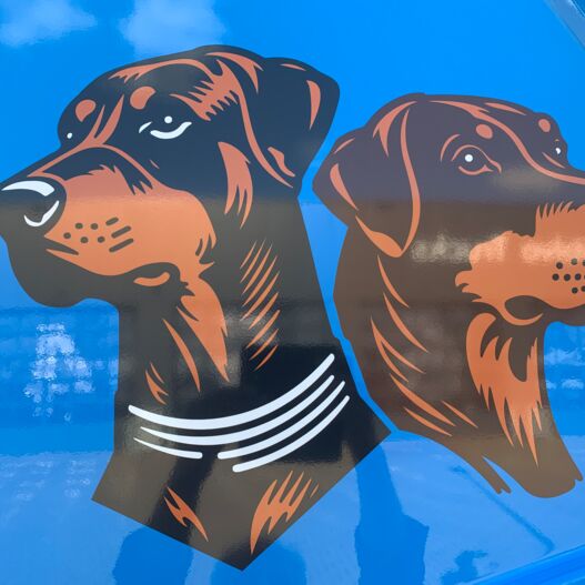 somethingsomething1vyt3N Aflevering wijngaarden Stijgerbouw B.V.